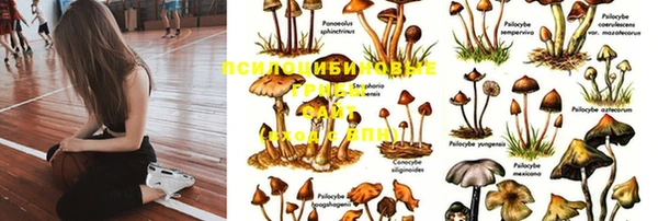 меф Елабуга