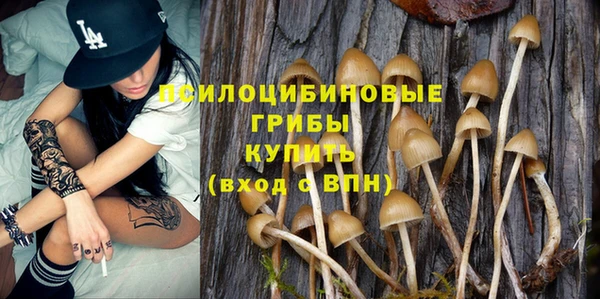 каннабис Елизово