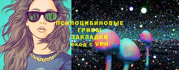 мяу мяу мука Ельня